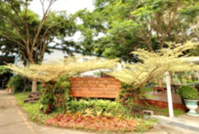 埔茂花市