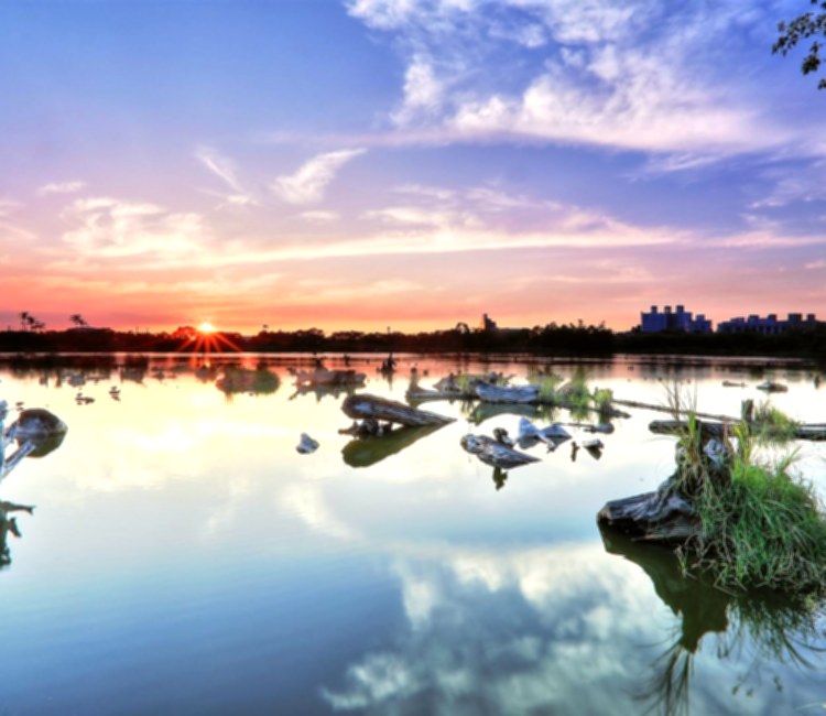 羅東林業文化園區